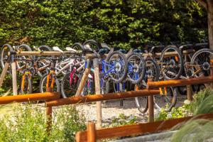 Campings Camping Chateau de Galaure : photos des chambres