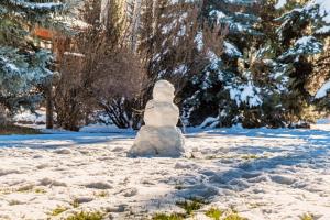 3 Bedroom 2 Bathroom Alpine Getaway right in Avon