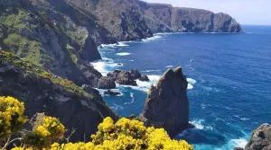 STELLA MARIS Cariño WIEWS - 卡里尼奥