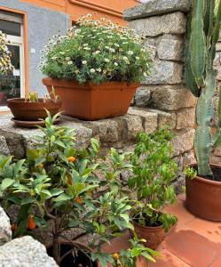 Casa Fiorella - Vista Mare img22