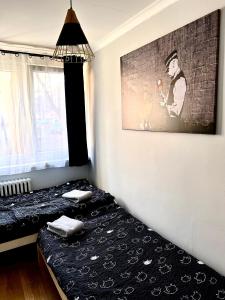 Pokoje obok uczelni Collegium Witelona