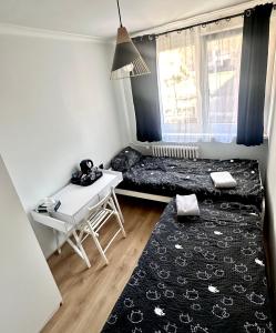 Pokoje obok uczelni Collegium Witelona