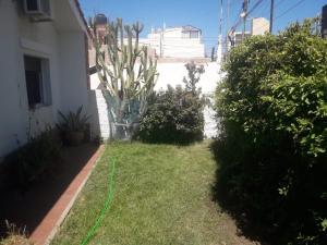 Depto-casa en el centro de San Luis