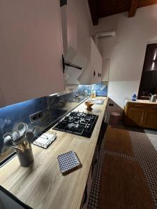 La Casa Azul del Pontiví