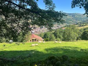 Chalets Aux Sources - 14 personnes - sauna & jacuzzi : Chalet