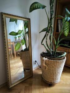 UniFit PLUS APARTMENT