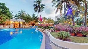 Oasis Palm -Inclusive