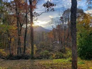 S'more Family Fun - New Era