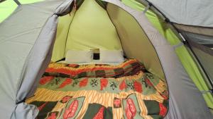 Delicate camp