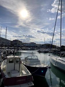 Appartements Charme et confort a St Martin de Re avec terrasse & parking : photos des chambres