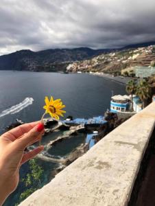 Hip Heaven Apartment on Beach