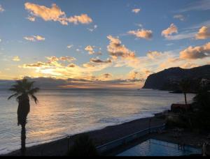 Hip Heaven Apartment on Beach