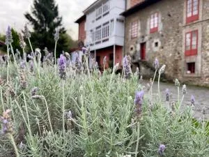 Hotel Palacio de Libardon - Libardón