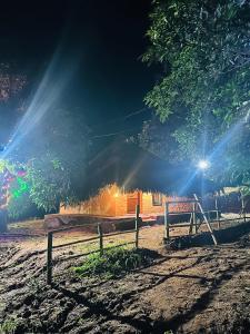 Jungle Farm House