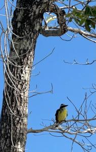 La Buena Vida - 2BR Secret Beach Off Grid Escape