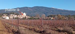 Maisons de vacances Studio tout confort en Provence Mont Ventoux. : photos des chambres