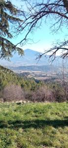 Maisons de vacances Studio tout confort en Provence Mont Ventoux. : photos des chambres
