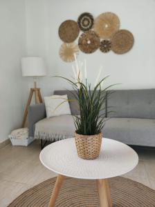 Coastal Dream - Fuseta