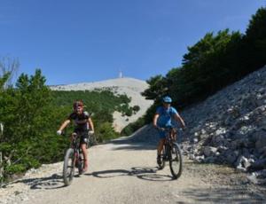 Maisons de vacances Studio tout confort en Provence Mont Ventoux. : photos des chambres
