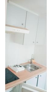 Po1-TPSA17-3D- ROOM Porte maron