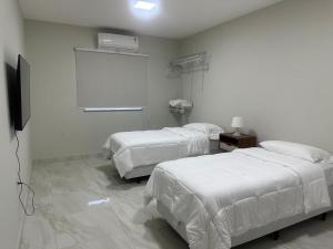 Novo e Moderno Apartamento