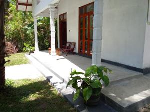 Lucky Mongrooves Tiny Villa