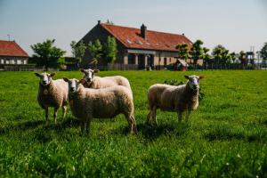 hoevehotel ter haeghe