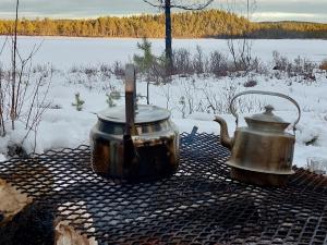 Woxy Tjolahopp - peace and nature