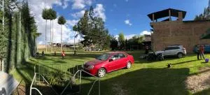 carpas palmeras - Ucuncha