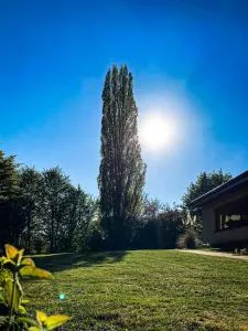 Villa Münchweiler - Langmühle