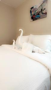 DTW Metro-Airport entire cozy house