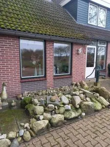 Boszicht - Tiendeveen