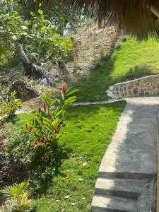 Green village - El Limón