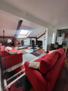 GRAND DUPLEX proche de PARIS