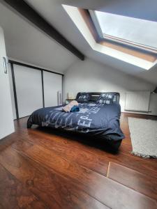 Appartements GRAND DUPLEX proche de PARIS : photos des chambres
