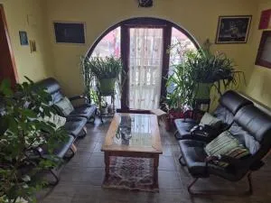 Vila Vienna - 扎耶查尔