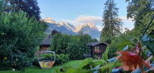 Hilleprandt - Adults Only