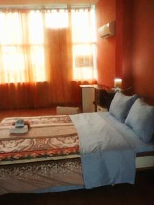 Duffy Duck apartment athens