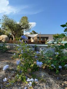 Villas Casa Dolce Follia Corsica, near beach , vue sur le Maquis , Corse du sud : photos des chambres