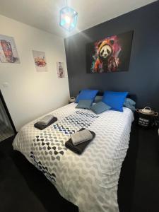 Appartements 5 min Moulins Duplex -Clim -wifi -borne d arcade -garage 25 min LE PAL : photos des chambres