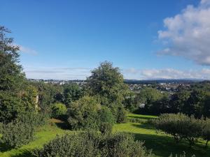 Double Room in Richmond House Fermoy