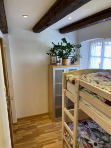 Appartements Le 128, duplex alsacien 10 personnes, piscine : photos des chambres
