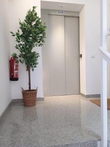 StayCampNou Studio with Balcony