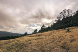 Cabaña en el Ajusco, experiencia única en la naturaleza