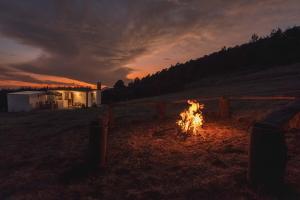 Cabaña en el Ajusco, experiencia única en la naturaleza