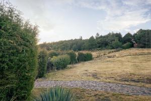 Cabaña en el Ajusco, experiencia única en la naturaleza