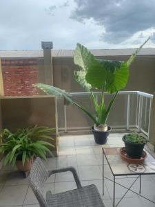 Altos de Belgrano PREMIUM