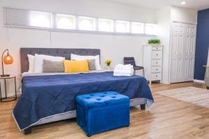 NEW5 LUXURYSTUDIO Nr DISNEY PETSOKprivENTRY