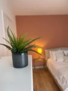 Anatole Résidence - FRANCE - 岩尼维利