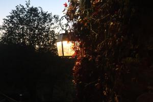 Villas Lodge du Monthury : photos des chambres